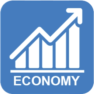 Economy icon