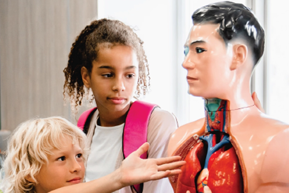 Future Healers: A Hands-On Health Care Exploration Camp