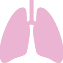 lung02